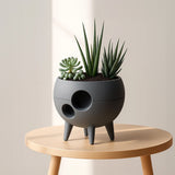 Asteroid Plant Pot