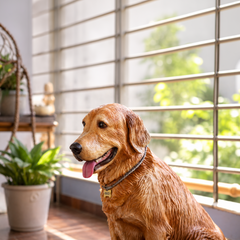 3D Printed Life-Size Dog Figurine