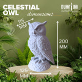 Attract Wealth with Lakshmi Owl Décor – Symbol of Wealth & Wisdom | Modern Design