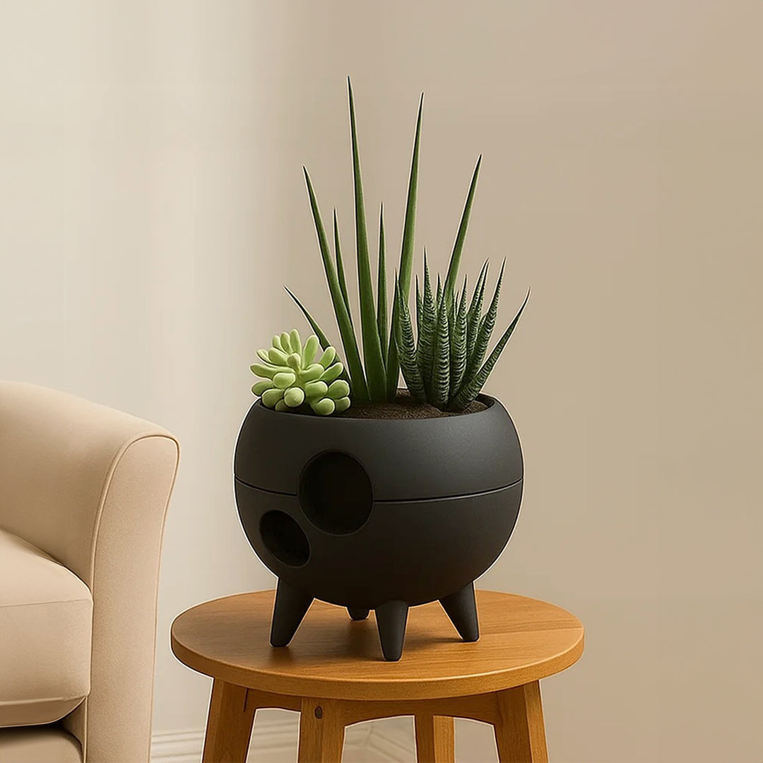 Asteroid Plant Pot