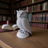 Attract Wealth with Lakshmi Owl Décor – Symbol of Wealth & Wisdom | Modern Design