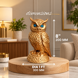 Gold Plated Lakshmi Owl Idol for Home & Office | Vastu Gift for Wealth & Good Luck
